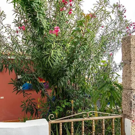 Apartamento Kordelliya Garden Chayofa